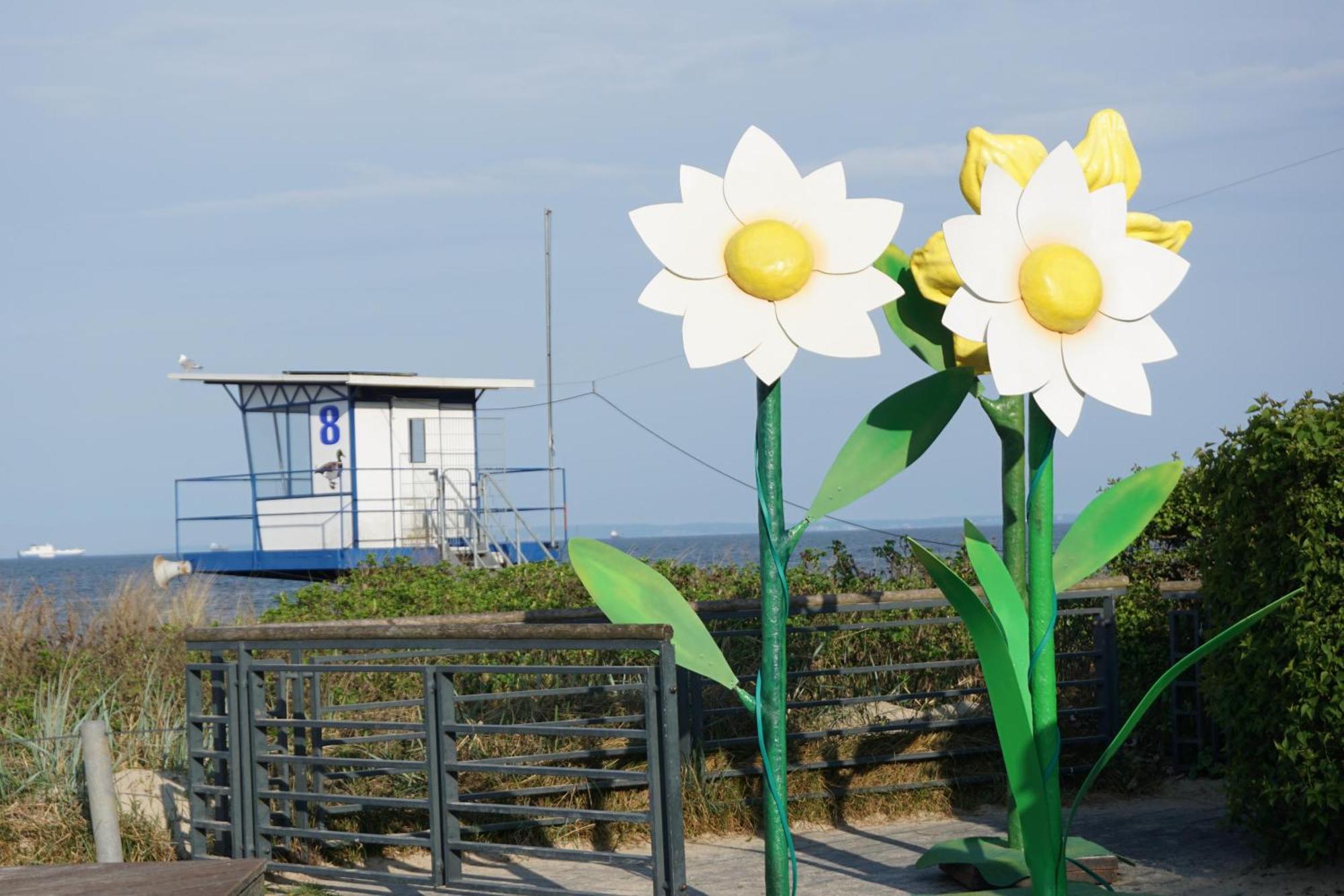 Strandoase - Fewo 21 Heringsdorf  Exterior photo